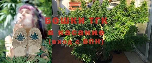 PSILOCYBIN Липки